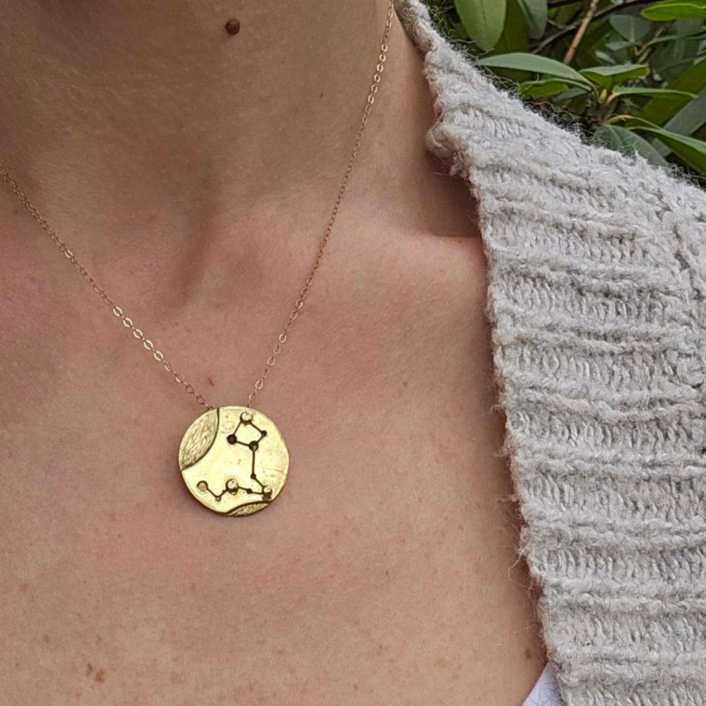 Gold Pisces Zodiac Necklace on woman's neck with grey sweater in front of green plant